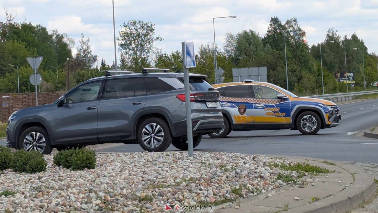 Łosie w centrum Ostrołęki [08.05.2025] - zdjęcie #27 - eOstroleka.pl