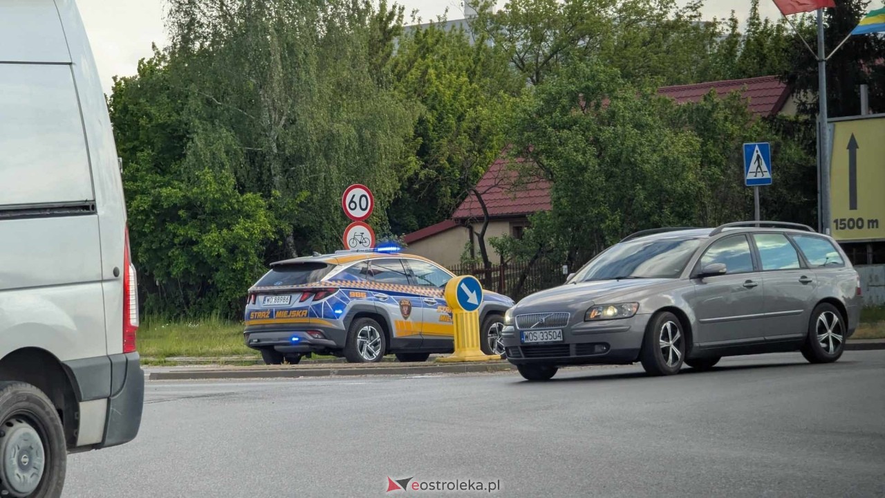 Łosie w centrum Ostrołęki [08.05.2025] - zdjęcie #25 - eOstroleka.pl