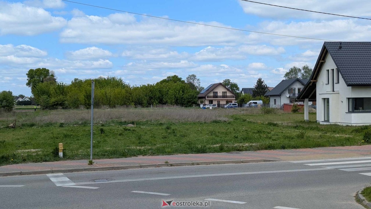 Łosie w centrum Ostrołęki [08.05.2025] - zdjęcie #1 - eOstroleka.pl