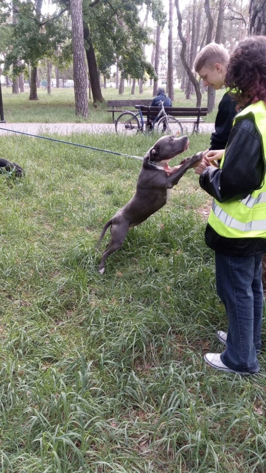 Młodzieżowa Rada Miasta i Straż Miejska [08.05.2025] - zdjęcie #2 - eOstroleka.pl