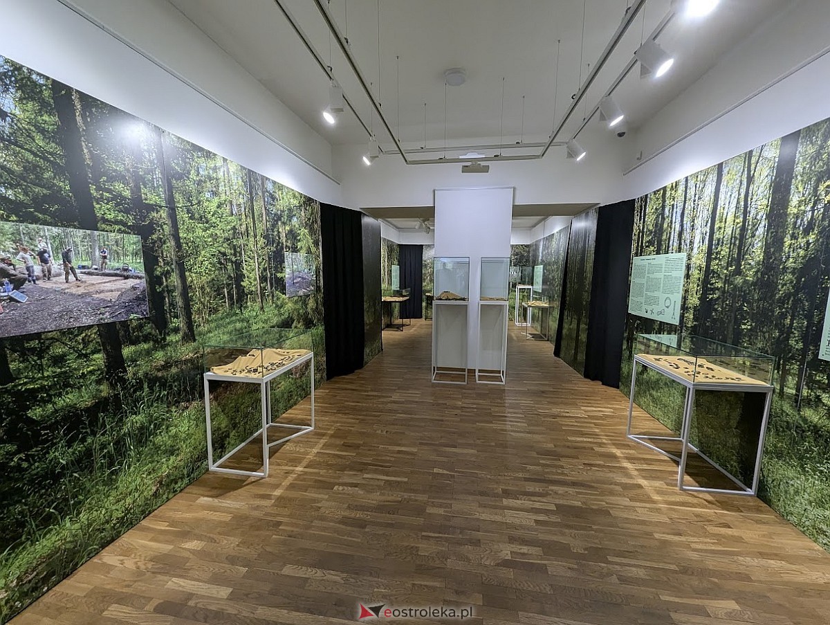 Wernisaż wystawy „Jaćwieskie eldorado” w Muzeum Kultury Kurpiowskiej [09.05.2025] - zdjęcie #8 - eOstroleka.pl