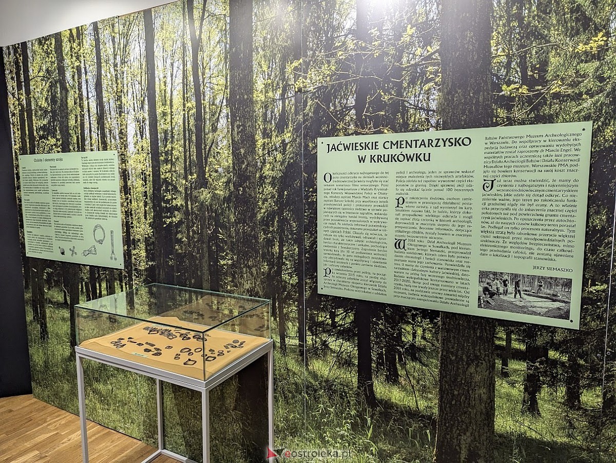 Wernisaż wystawy „Jaćwieskie eldorado” w Muzeum Kultury Kurpiowskiej [09.05.2025] - zdjęcie #6 - eOstroleka.pl