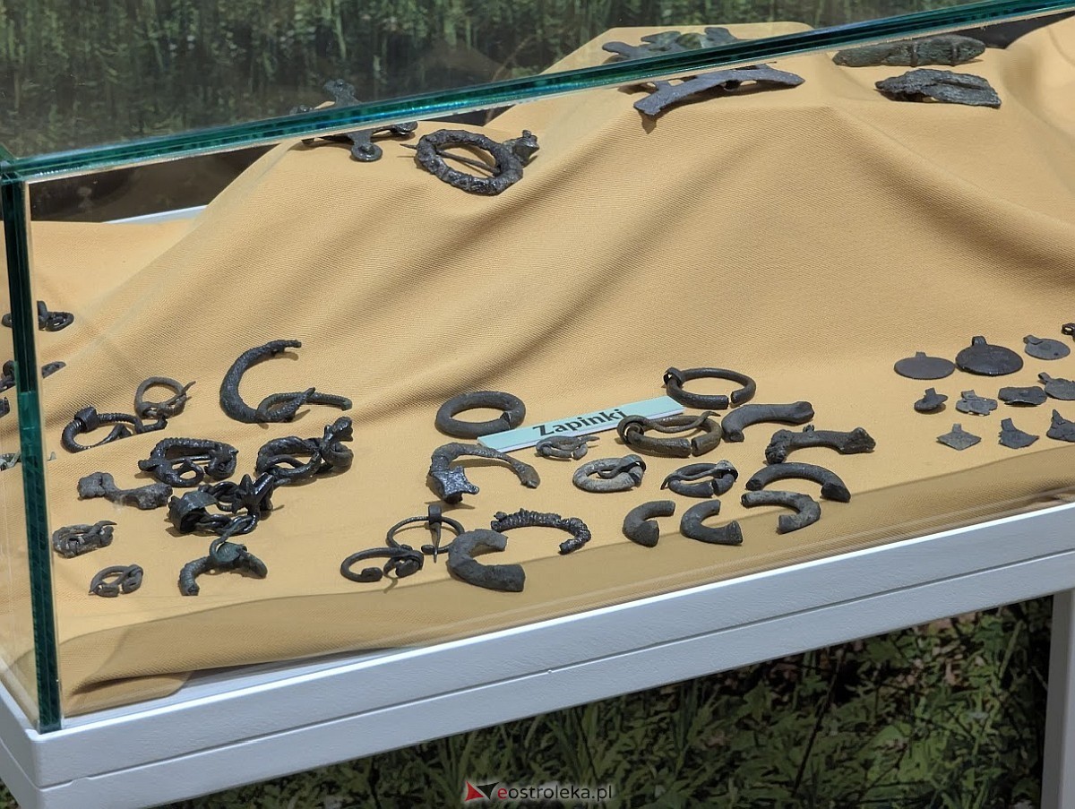 Wernisaż wystawy „Jaćwieskie eldorado” w Muzeum Kultury Kurpiowskiej [09.05.2025] - zdjęcie #4 - eOstroleka.pl