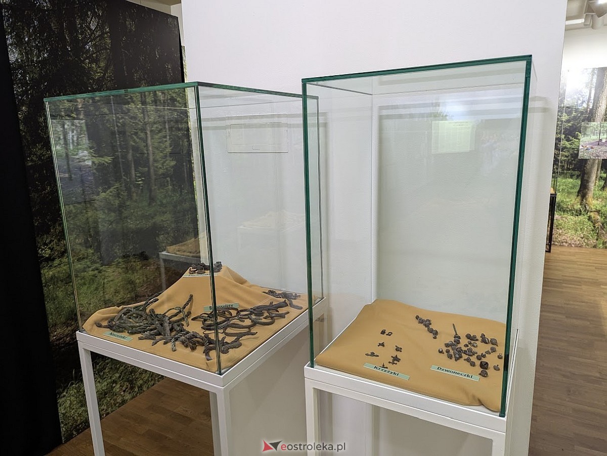 Wernisaż wystawy „Jaćwieskie eldorado” w Muzeum Kultury Kurpiowskiej [09.05.2025] - zdjęcie #3 - eOstroleka.pl