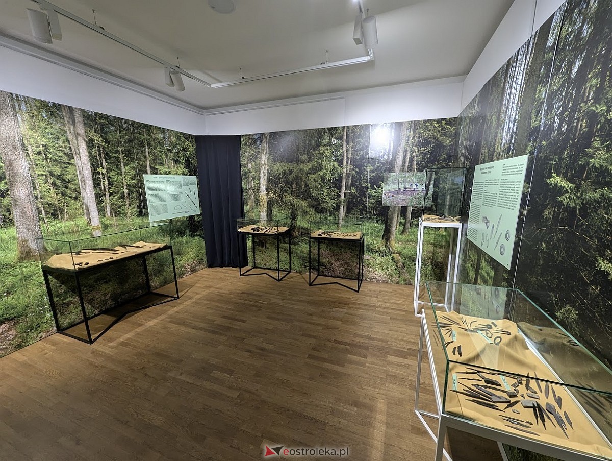 Wernisaż wystawy „Jaćwieskie eldorado” w Muzeum Kultury Kurpiowskiej [09.05.2025] - zdjęcie #2 - eOstroleka.pl