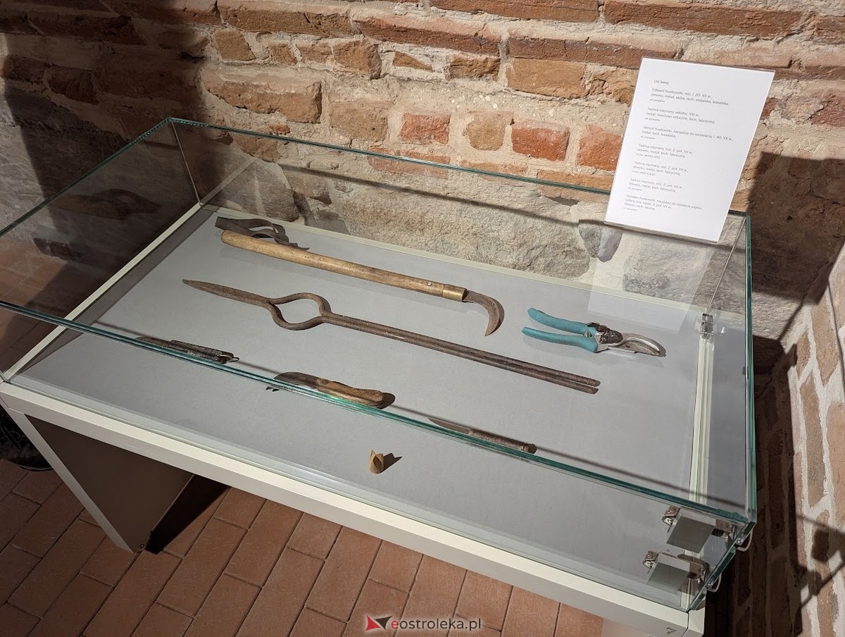 Wernisaż wystawy „Splecione z naturą. Plecionkarstwo kurpiowskie” w Muzeum Kultury Kurpiowskiej [16.05.2025] - zdjęcie #8 - eOstroleka.pl