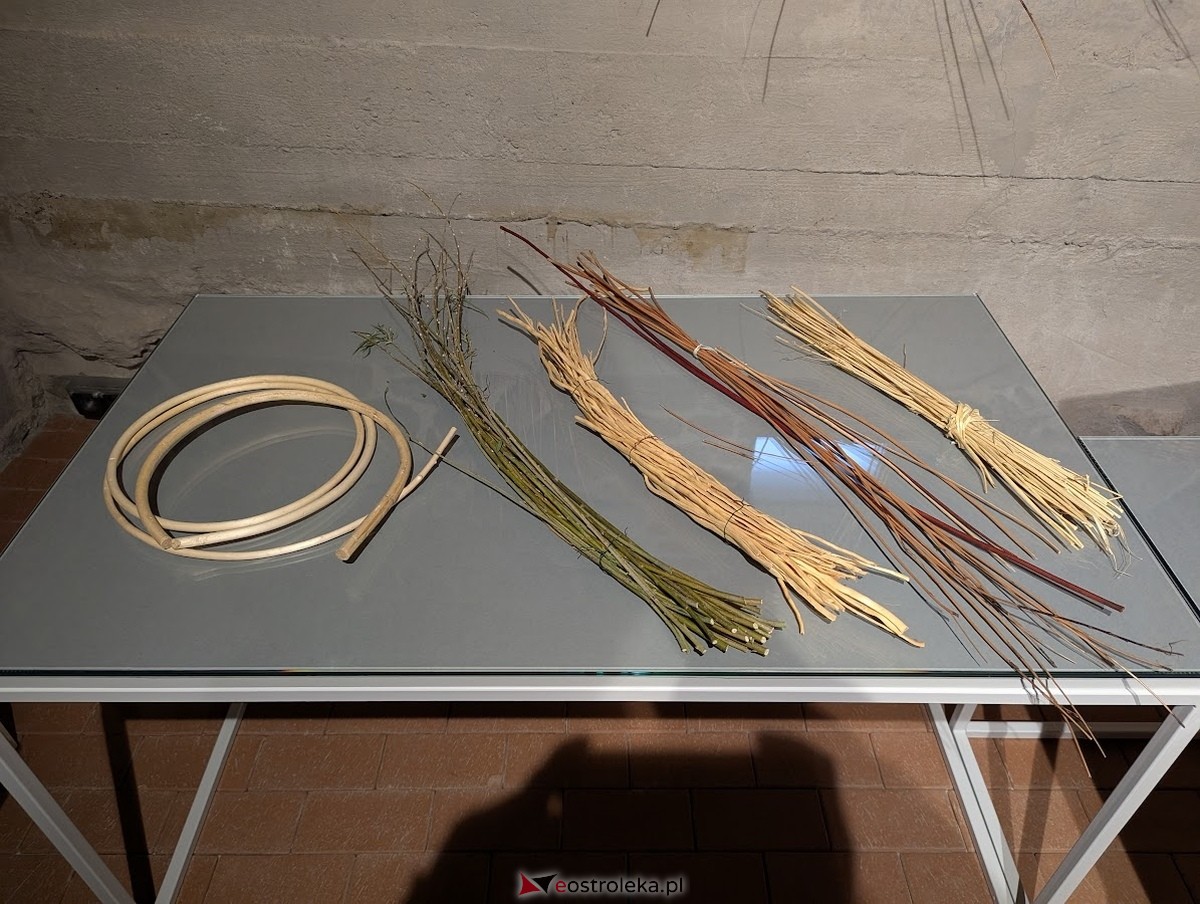 Wernisaż wystawy „Splecione z naturą. Plecionkarstwo kurpiowskie” w Muzeum Kultury Kurpiowskiej [16.05.2025] - zdjęcie #7 - eOstroleka.pl