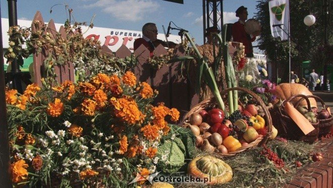 V Targi Ekologiczne (25.09.2011) - zdjęcie #40 - eOstroleka.pl