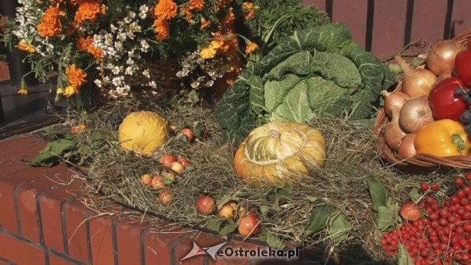 V Targi Ekologiczne (25.09.2011) - zdjęcie #39 - eOstroleka.pl