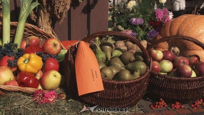 V Targi Ekologiczne (25.09.2011) - zdjęcie #38 - eOstroleka.pl