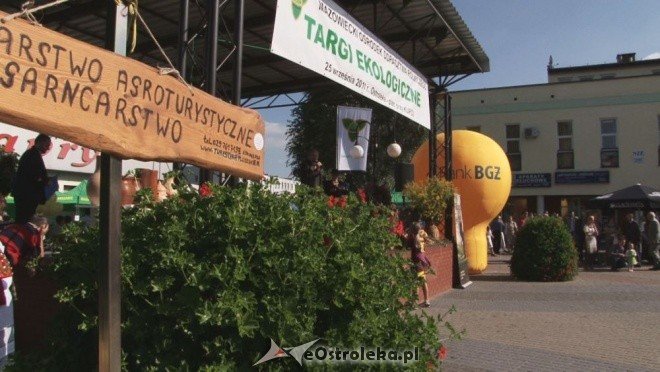 V Targi Ekologiczne (25.09.2011) - zdjęcie #30 - eOstroleka.pl