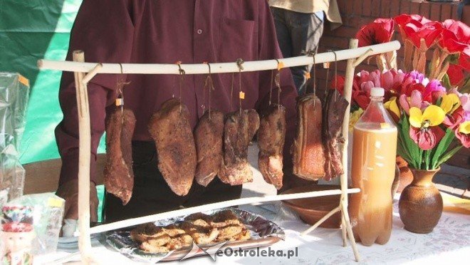 V Targi Ekologiczne (25.09.2011) - zdjęcie #23 - eOstroleka.pl