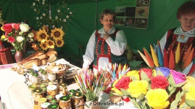 V Targi Ekologiczne (25.09.2011) - zdjęcie #21 - eOstroleka.pl