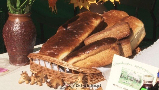 V Targi Ekologiczne (25.09.2011) - zdjęcie #20 - eOstroleka.pl