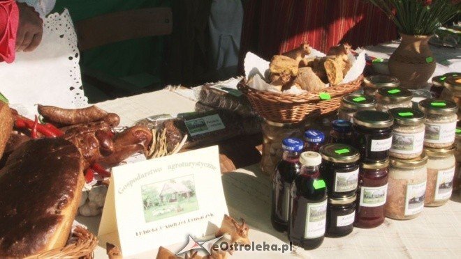 V Targi Ekologiczne (25.09.2011) - zdjęcie #19 - eOstroleka.pl