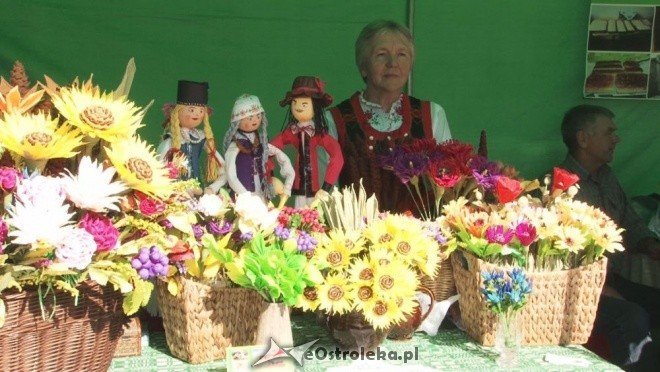 V Targi Ekologiczne (25.09.2011) - zdjęcie #17 - eOstroleka.pl