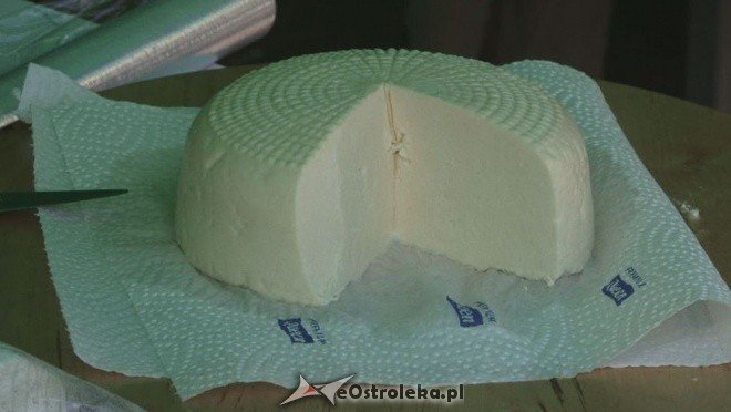 V Targi Ekologiczne (25.09.2011) - zdjęcie #13 - eOstroleka.pl