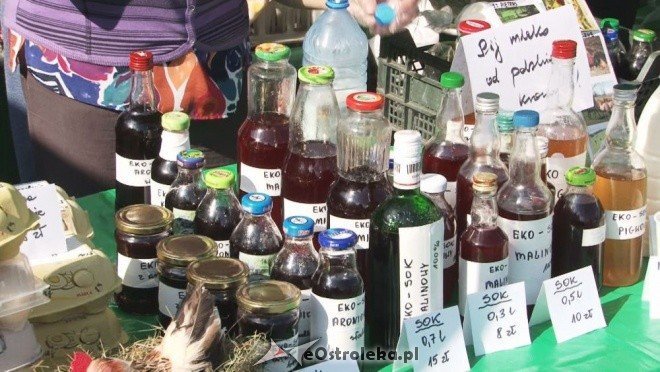 V Targi Ekologiczne (25.09.2011) - zdjęcie #9 - eOstroleka.pl