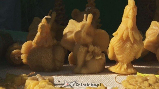 V Targi Ekologiczne (25.09.2011) - zdjęcie #5 - eOstroleka.pl