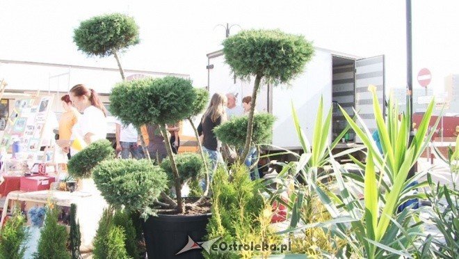 V Targi Ekologiczne (25.09.2011) - zdjęcie #6 - eOstroleka.pl