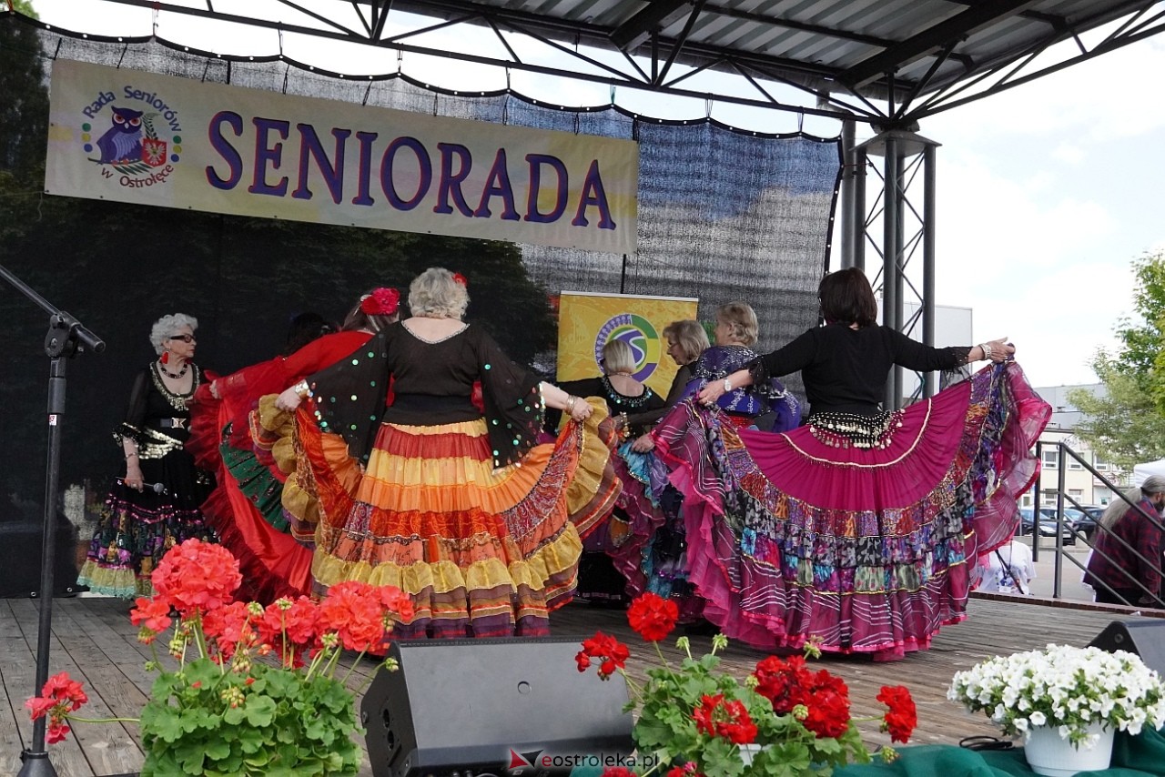 Seniorada 2025 w Ostrołęce [25.05.2025] - zdjęcie #23 - eOstroleka.pl