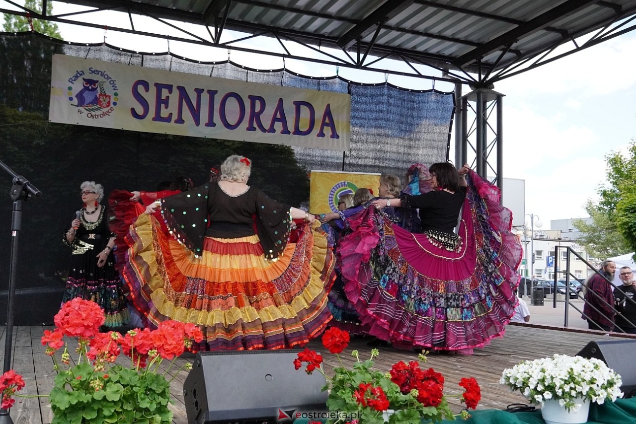 Seniorada 2025 w Ostrołęce [25.05.2025] - zdjęcie #22 - eOstroleka.pl