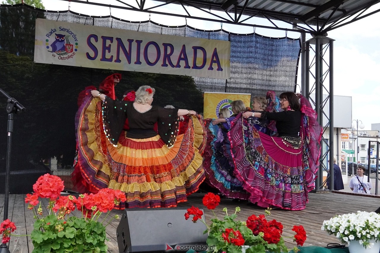 Seniorada 2025 w Ostrołęce [25.05.2025] - zdjęcie #21 - eOstroleka.pl