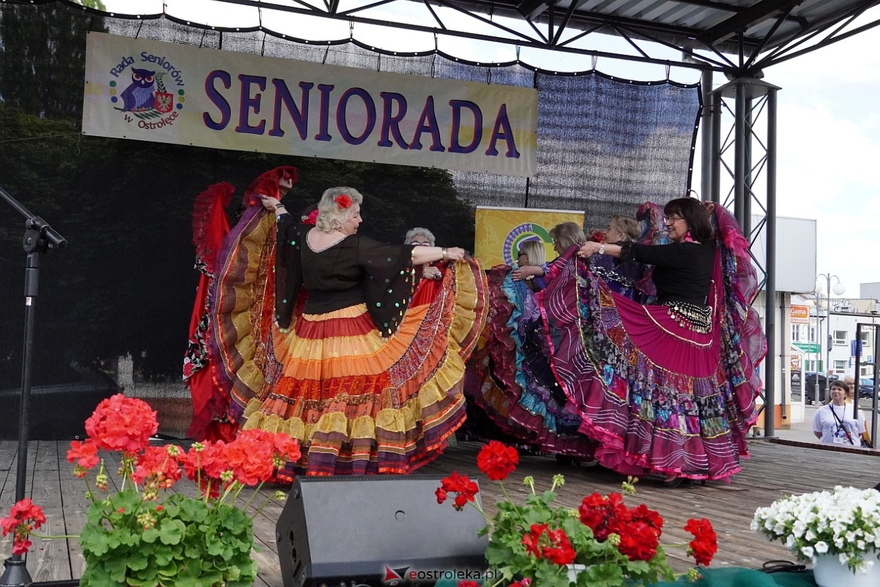 Seniorada 2025 w Ostrołęce [25.05.2025] - zdjęcie #20 - eOstroleka.pl