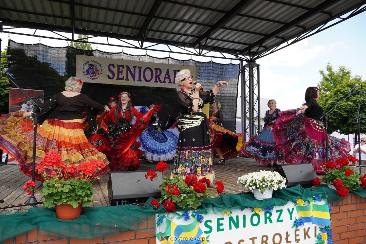 Seniorada 2025 w Ostrołęce [25.05.2025] - zdjęcie #18 - eOstroleka.pl