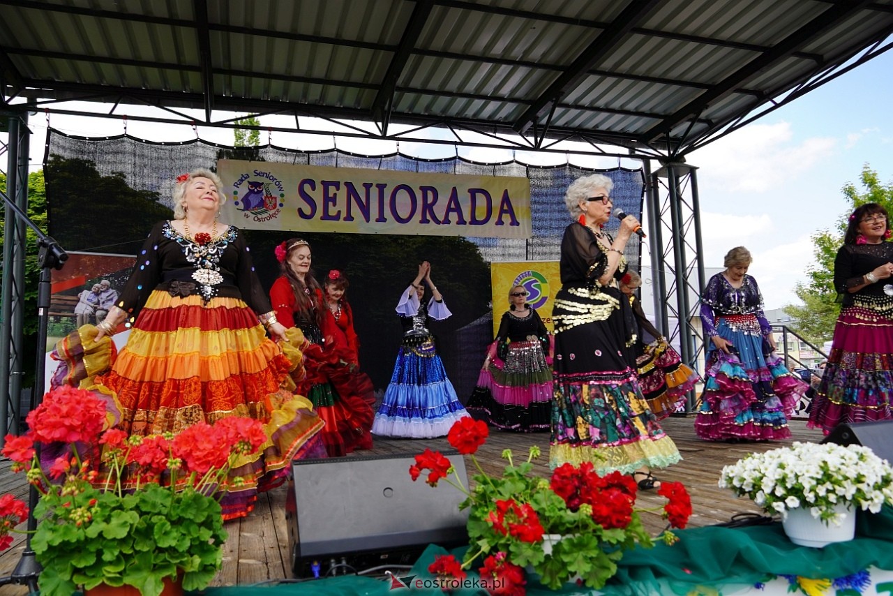 Seniorada 2025 w Ostrołęce [25.05.2025] - zdjęcie #15 - eOstroleka.pl