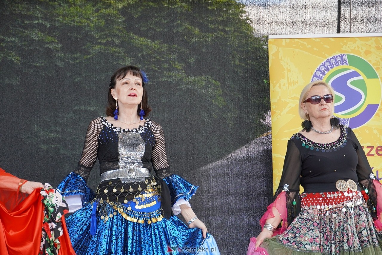 Seniorada 2025 w Ostrołęce [25.05.2025] - zdjęcie #14 - eOstroleka.pl