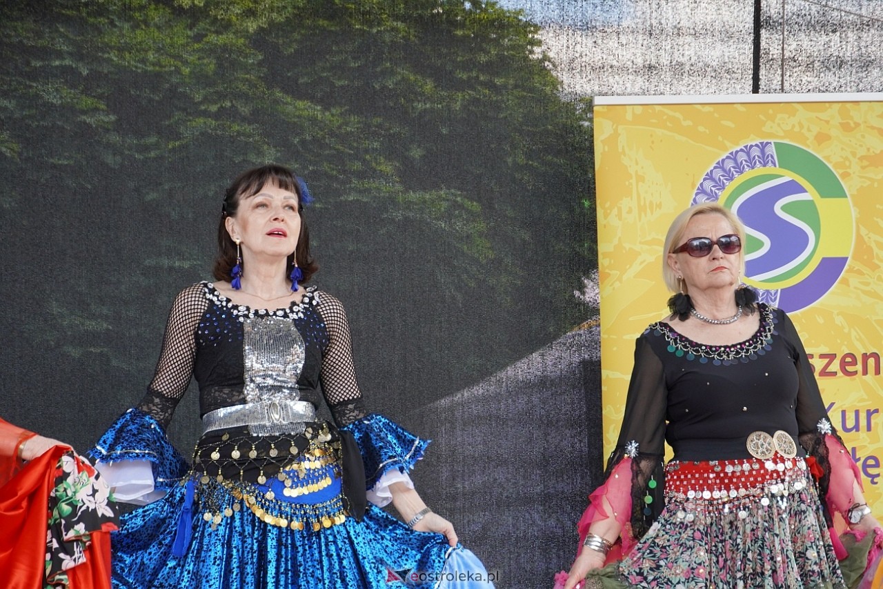 Seniorada 2025 w Ostrołęce [25.05.2025] - zdjęcie #13 - eOstroleka.pl