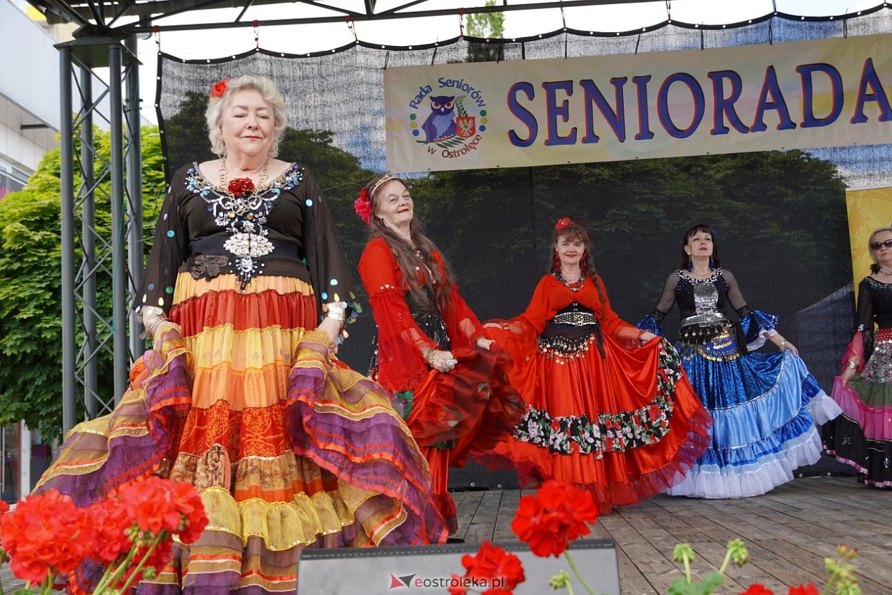 Seniorada 2025 w Ostrołęce [25.05.2025] - zdjęcie #12 - eOstroleka.pl