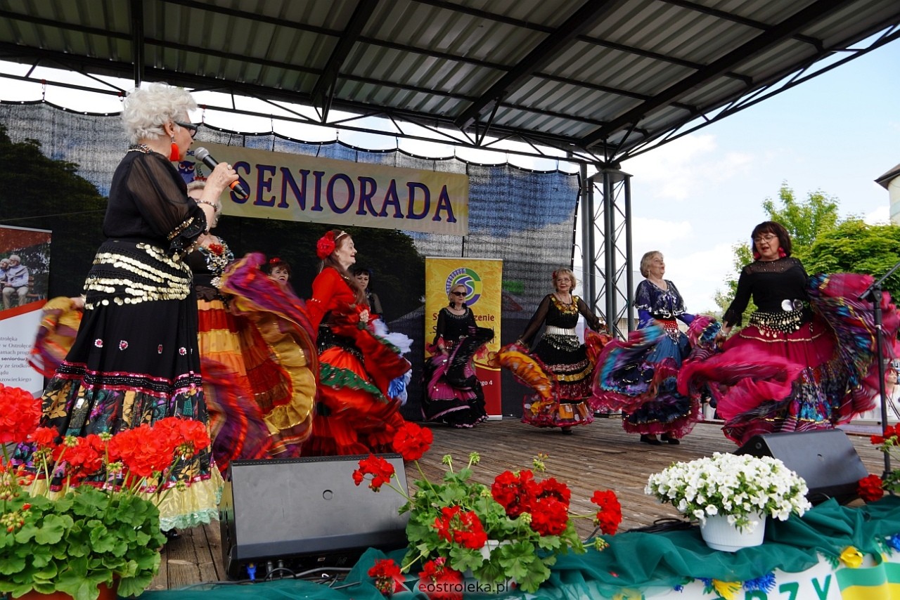 Seniorada 2025 w Ostrołęce [25.05.2025] - zdjęcie #10 - eOstroleka.pl