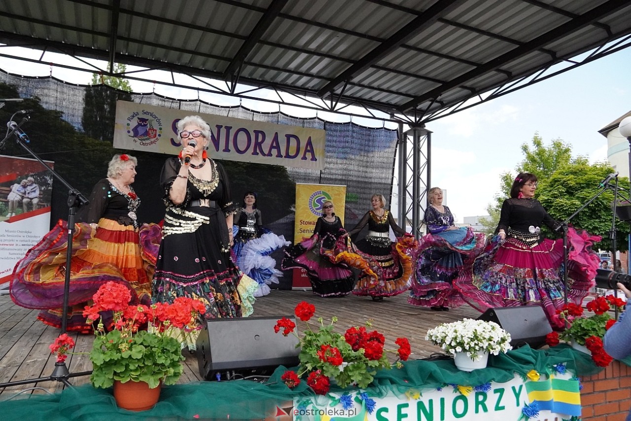 Seniorada 2025 w Ostrołęce [25.05.2025] - zdjęcie #8 - eOstroleka.pl