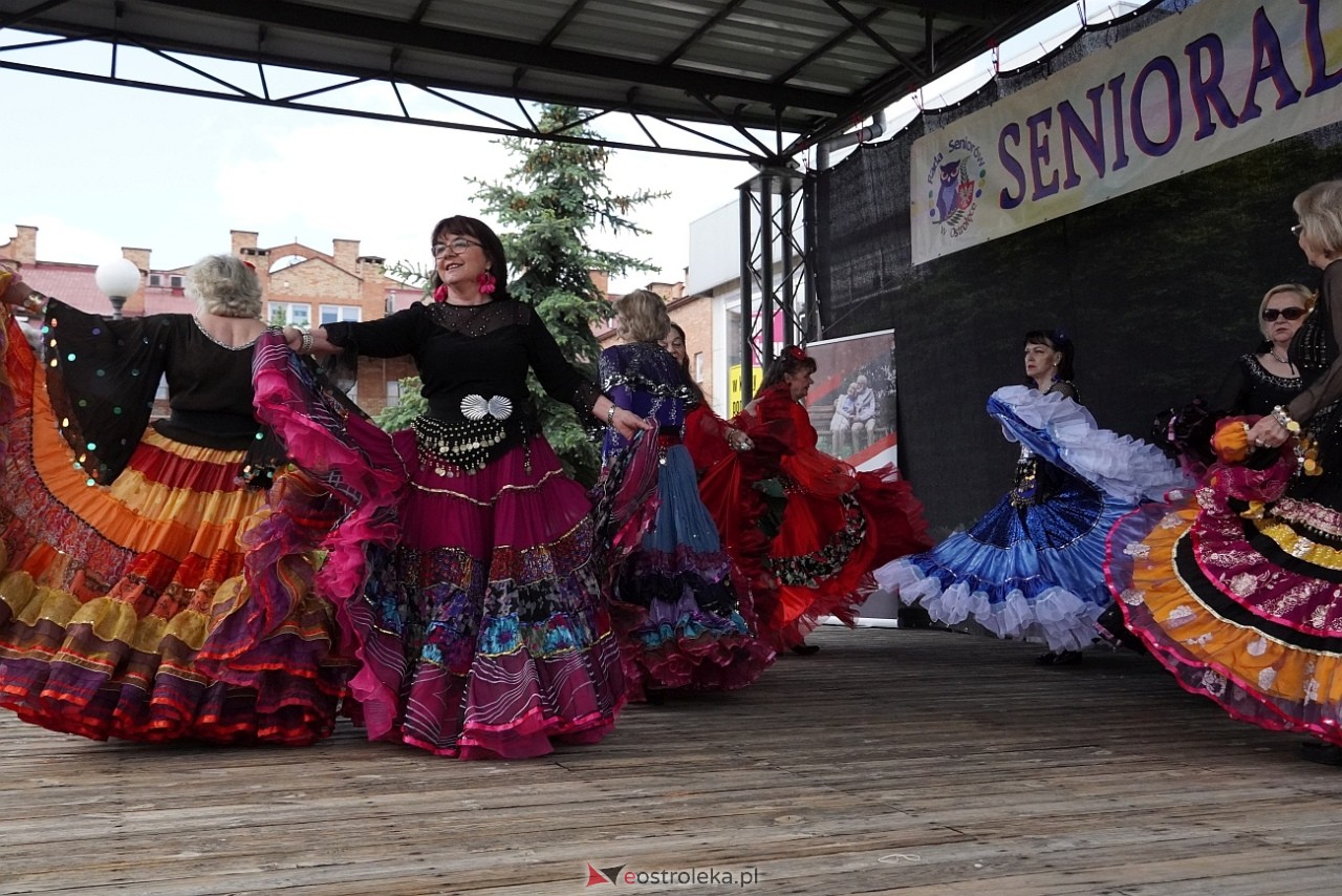Seniorada 2025 w Ostrołęce [25.05.2025] - zdjęcie #6 - eOstroleka.pl
