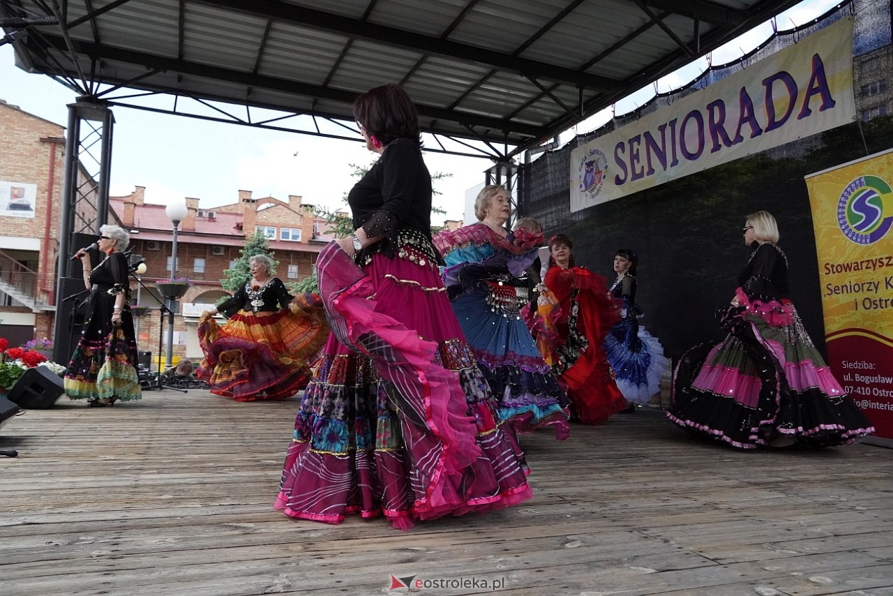 Seniorada 2025 w Ostrołęce [25.05.2025] - zdjęcie #4 - eOstroleka.pl