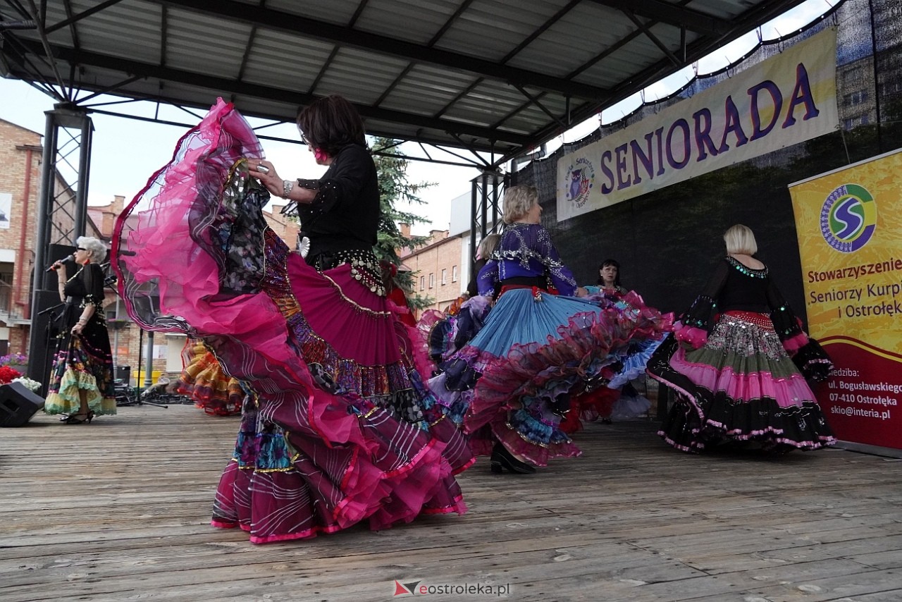 Seniorada 2025 w Ostrołęce [25.05.2025] - zdjęcie #3 - eOstroleka.pl
