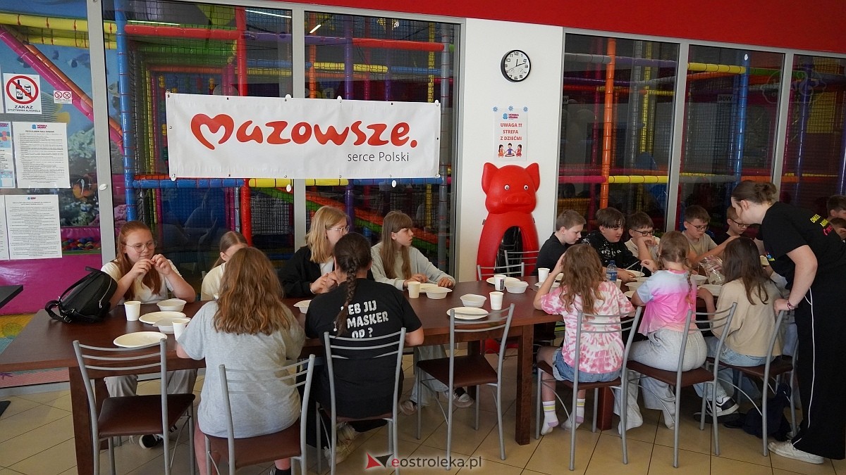 II Warsztaty Naukowe [03.06.2025] - zdjęcie #46 - eOstroleka.pl