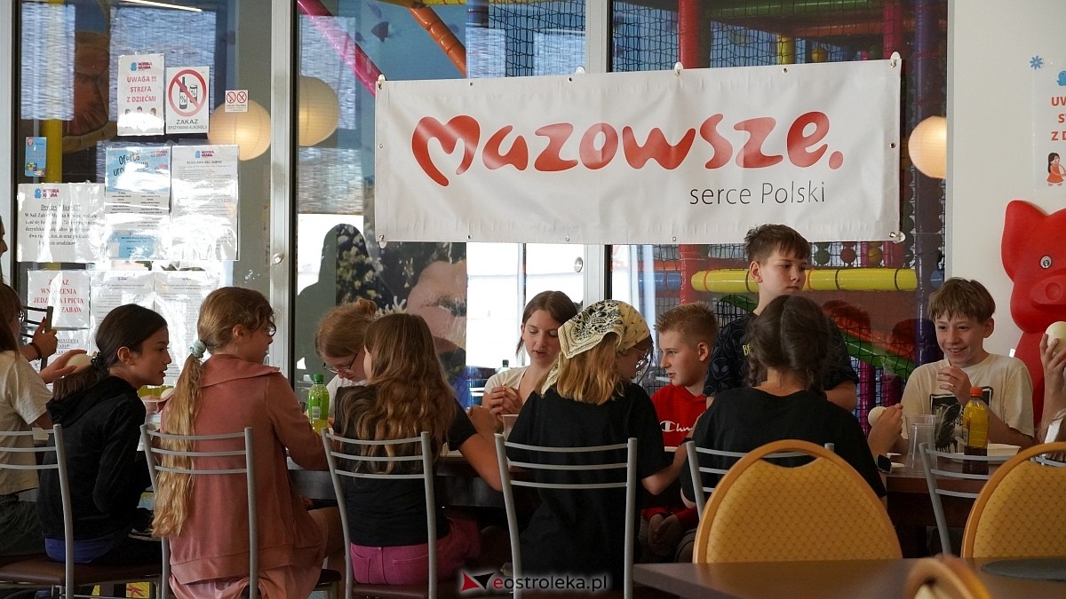 II Warsztaty Naukowe [03.06.2025] - zdjęcie #11 - eOstroleka.pl