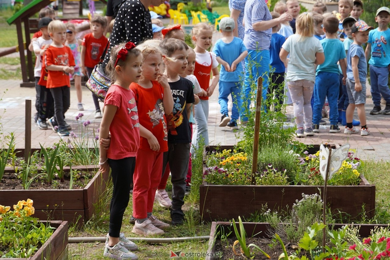 Rodzinny Dzień Dziecka w Przedszkolu Miejskim nr 7 [3.06.2025] - zdjęcie #54 - eOstroleka.pl