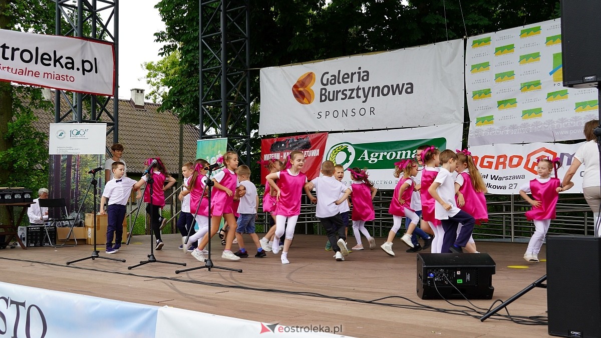 Bieg Kolejarza 2025 [07.06.2025] - zdjęcie #245 - eOstroleka.pl