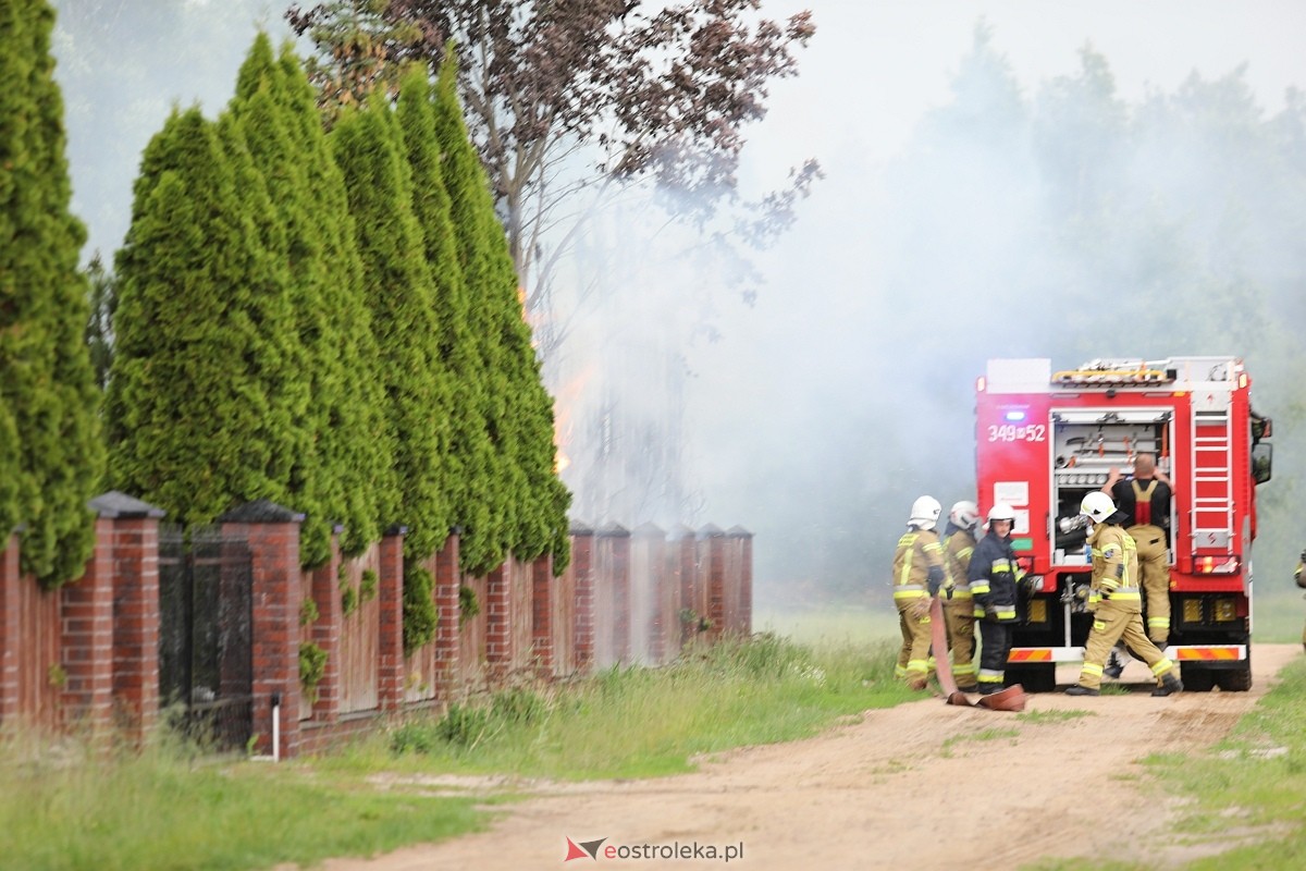 Pożar tui w Siemnosze [08.06.2025] - zdjęcie #16 - eOstroleka.pl