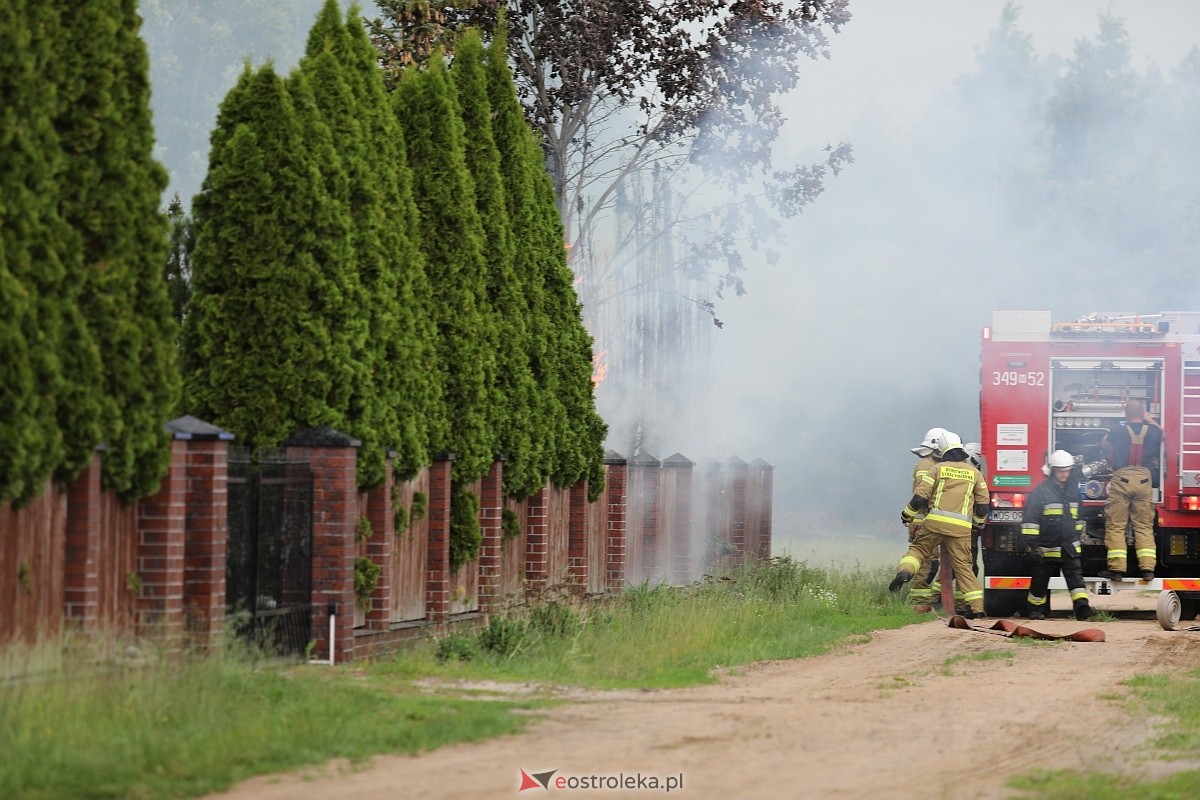 Pożar tui w Siemnosze [08.06.2025] - zdjęcie #15 - eOstroleka.pl