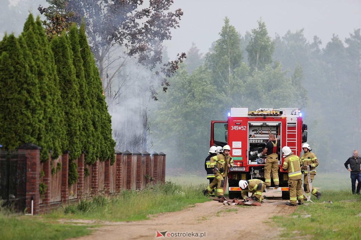 Pożar tui w Siemnosze [08.06.2025] - zdjęcie #13 - eOstroleka.pl