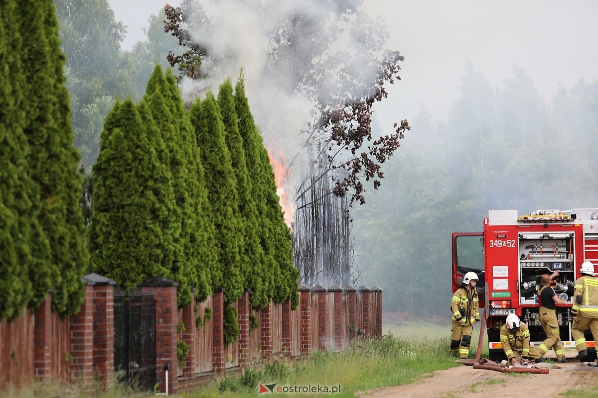 Pożar tui w Siemnosze [08.06.2025] - zdjęcie #11 - eOstroleka.pl