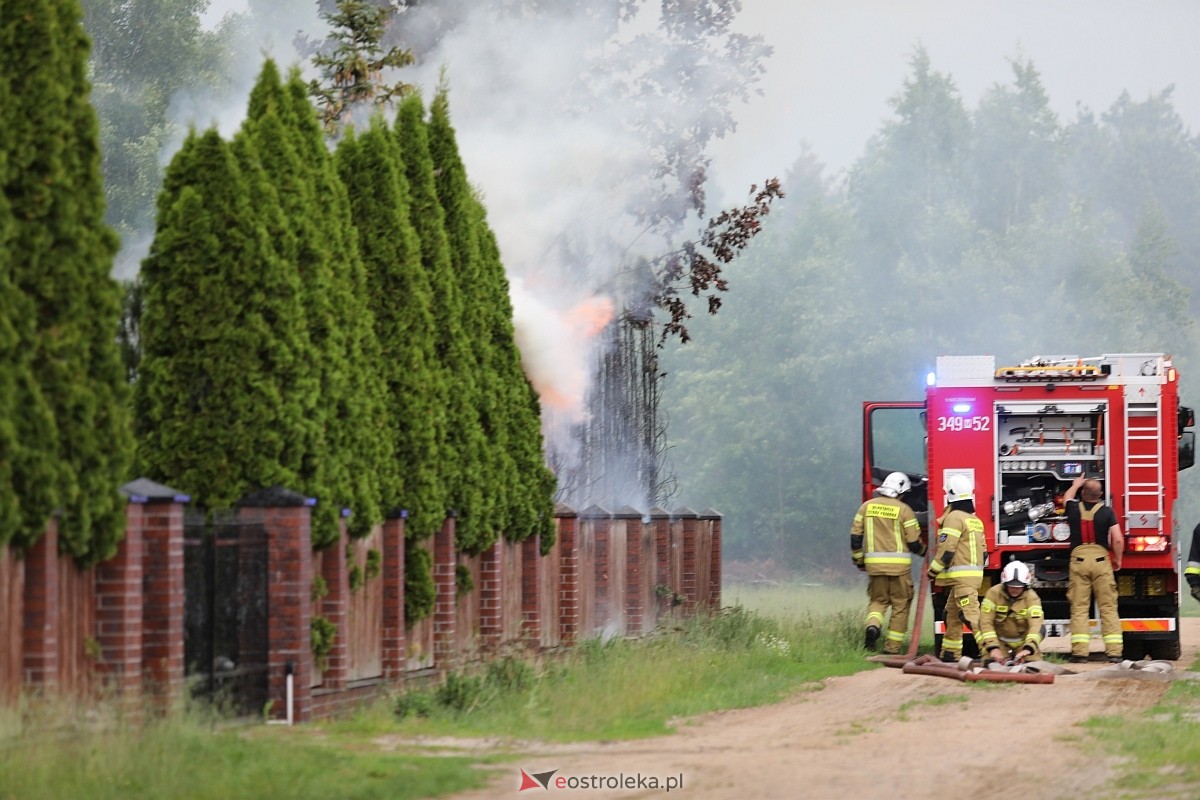 Pożar tui w Siemnosze [08.06.2025] - zdjęcie #8 - eOstroleka.pl