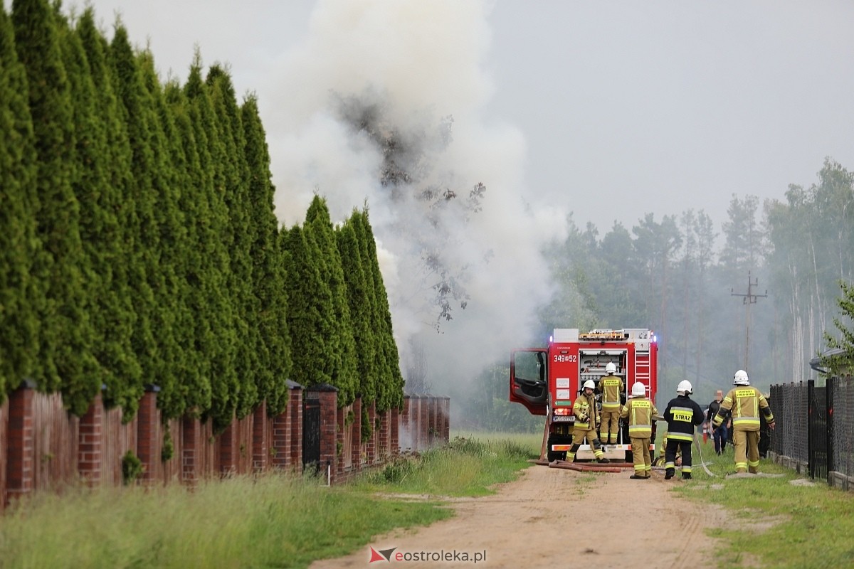 Pożar tui w Siemnosze [08.06.2025] - zdjęcie #7 - eOstroleka.pl