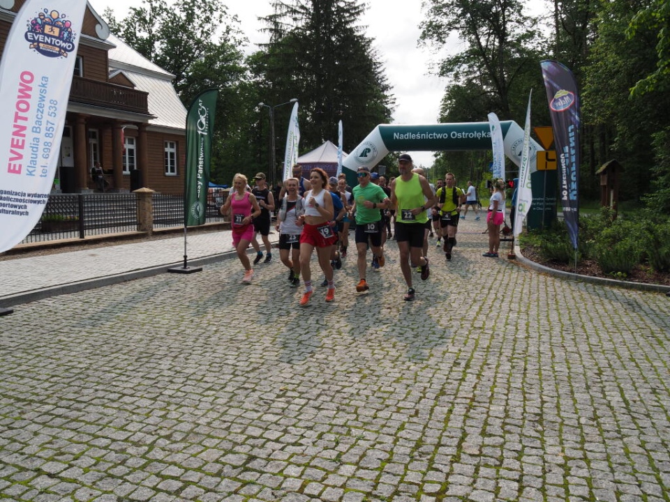 Love Las Run 2025 - fot. UG Olszewo Borki - zdjęcie #15 - eOstroleka.pl