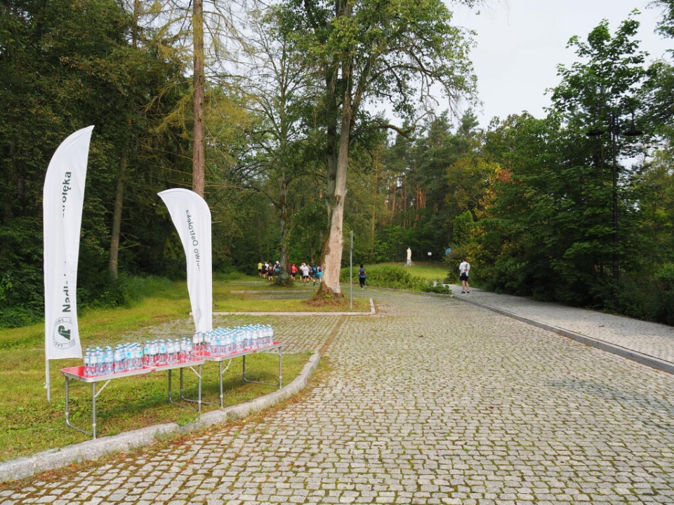 Love Las Run 2025 - fot. UG Olszewo Borki - zdjęcie #14 - eOstroleka.pl